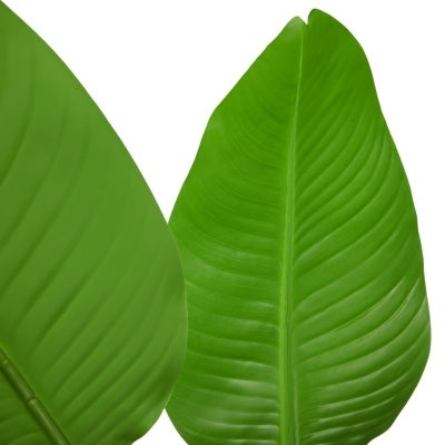LSPR-ID7594376