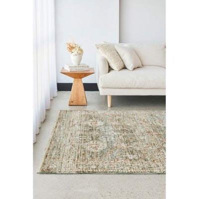 Bodrum Josie Transitional Rug, 300x400cm