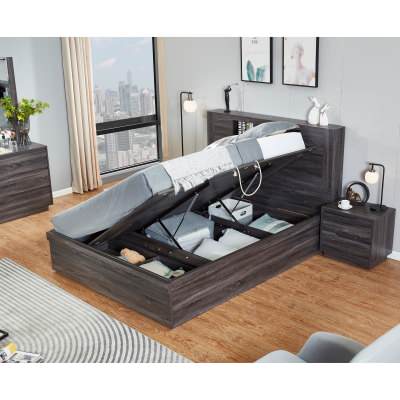 Boston Modern Gas Lift Platform Bed with Storage, Queen