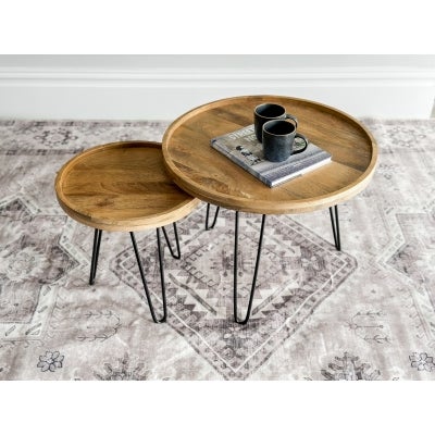 Purna 2 Piece Mango Wood & Iron Round Nesting Coffee Table Set