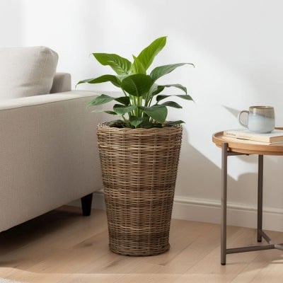 Cancun Rattan Pot, Large