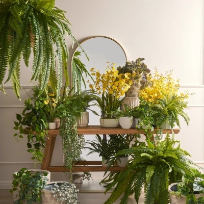 Rogue Artificial Boston Fern in Dansk Hanging Pot