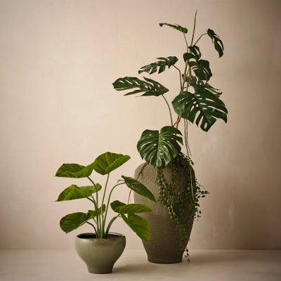 LSPR-ID7607755