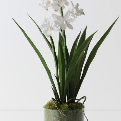Giselle Artificial Orchid Cymbidium in Vase, 45cm, White Flower