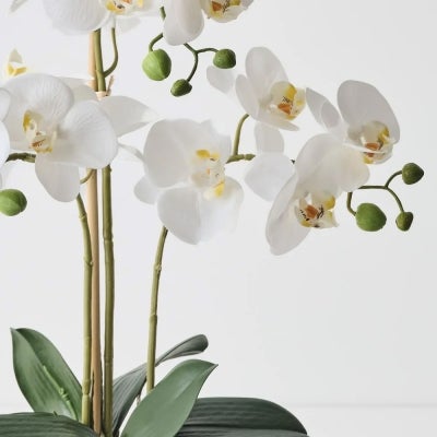 Moxie Artificial Orchid Phalaenopsis in Glass Bowl, 50cm