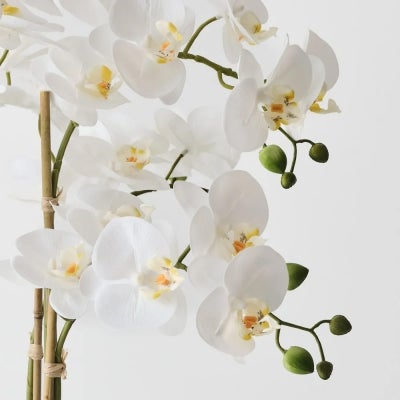 Moxie Artificial Orchid Phalaenopsis in Glass Bowl, 64cm