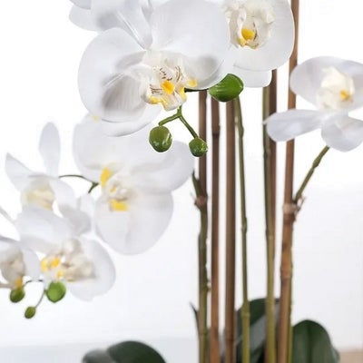 Picabo Artificial Orchid Phalaenopsis in Glass Vase, 70cm