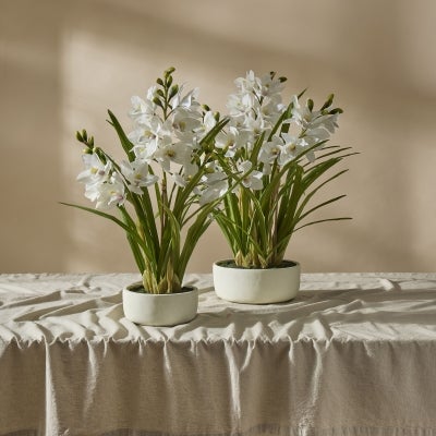Rogue Artificial Cymbidium Orchid Pot, Large, White Flower