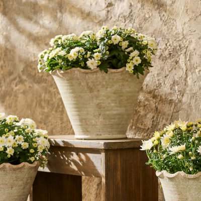 Jessalyn Cement Wavy Planter Pot, Large