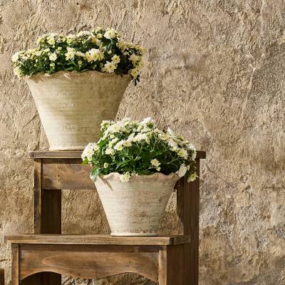 Jessalyn Cement Wavy Planter Pot, Small