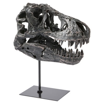 Eloria Dino Skull Metal Sculpture on Stand