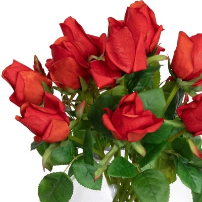 Luxa Artificial Rose Arrangement in Glass Vase, 38cm, Red Flower