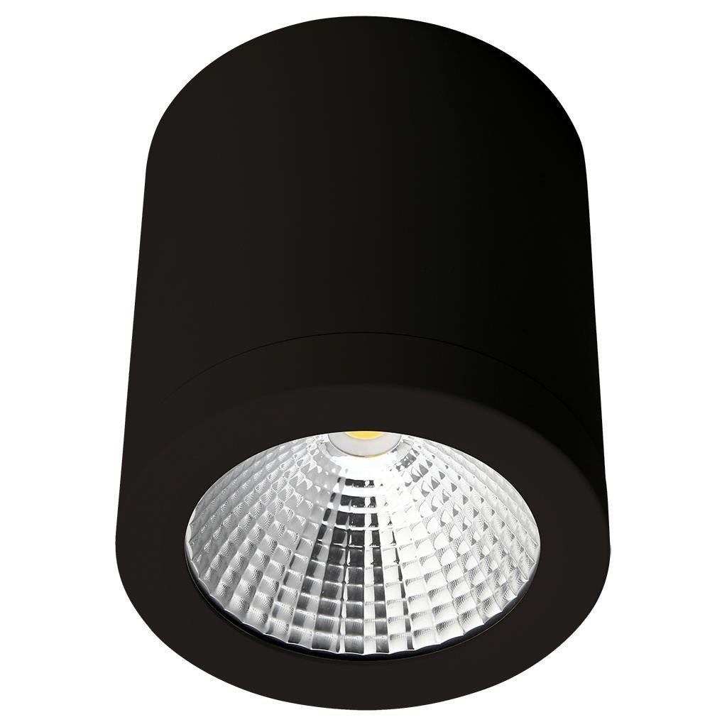 Black discount outdoor downlight