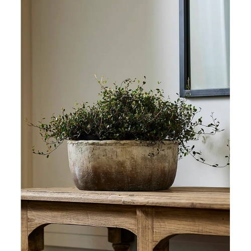 Marron Cement Planter Bowl, Small