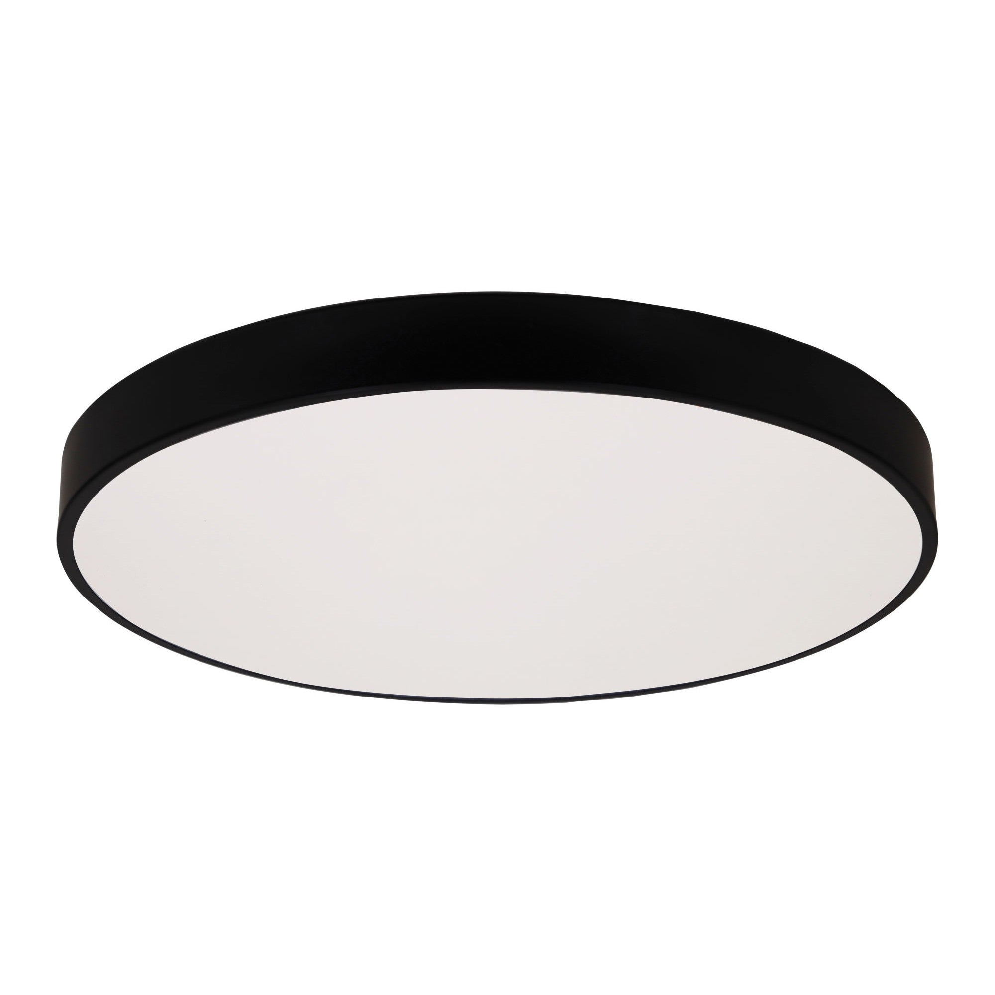 Black oyster outlet light