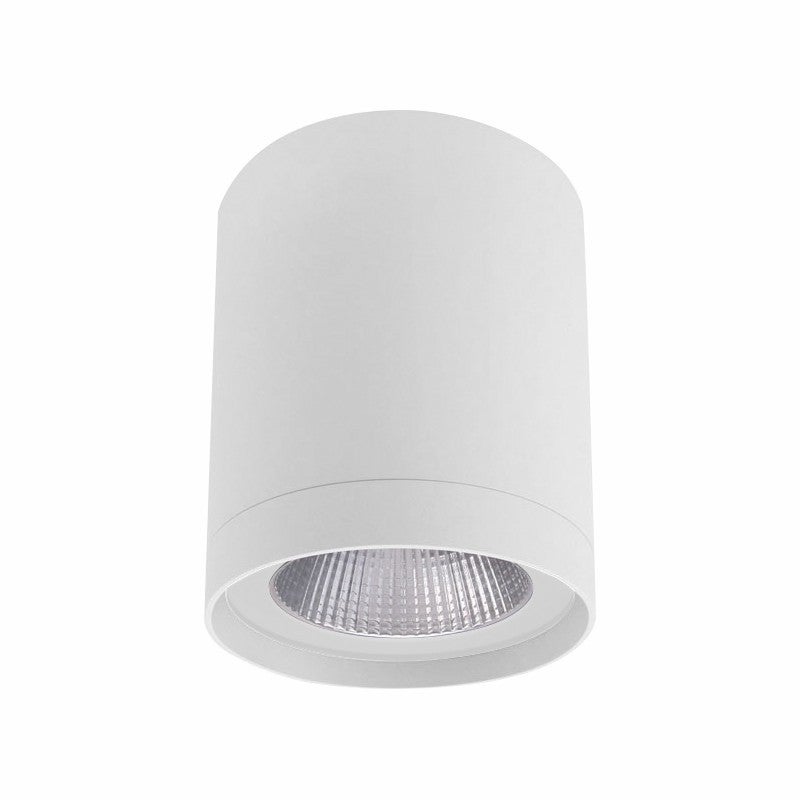 Sal top led downlight