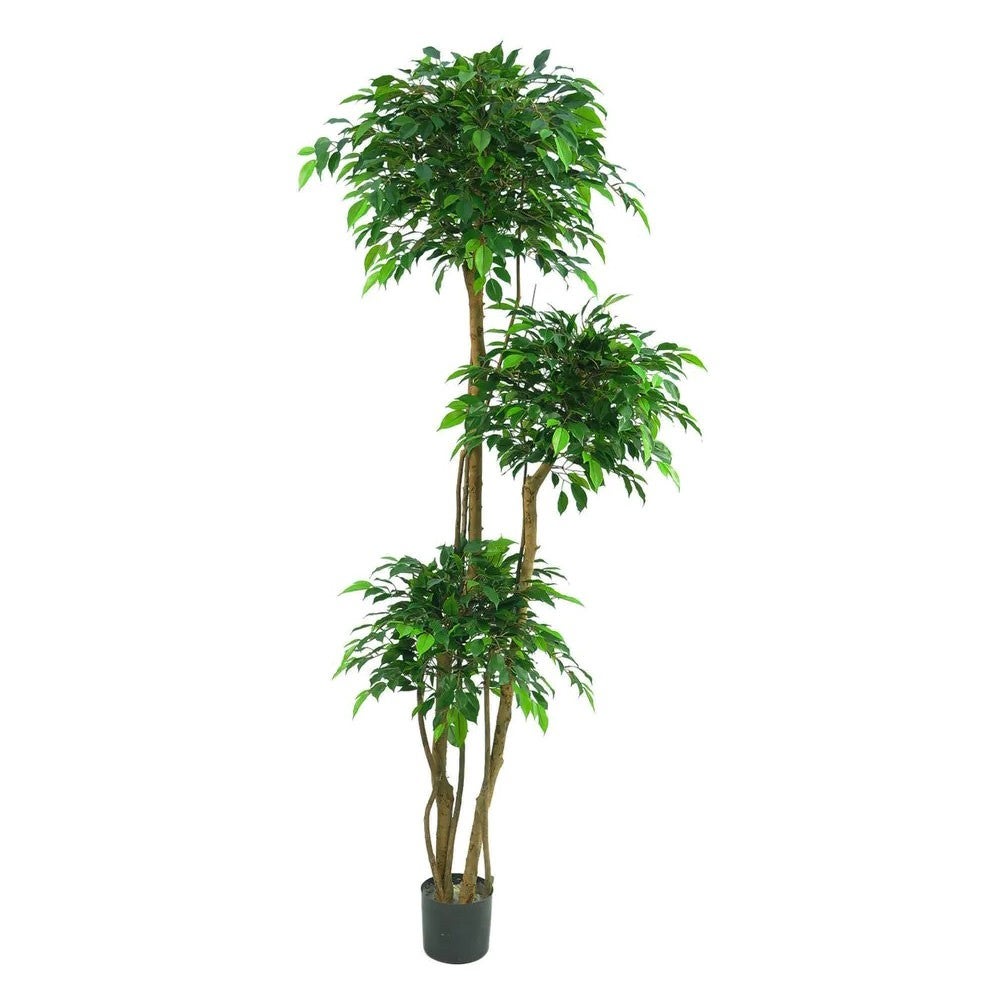 Ficus Artificial 180 cm