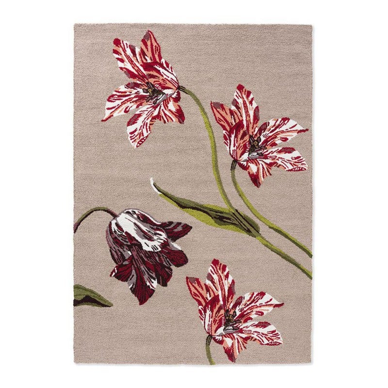 Ted Baker Botanical Tulip Indoor / Outdoor Designer Rug, 350x250cm ...
