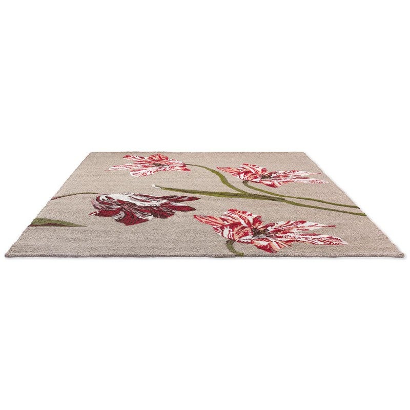 Ted Baker Botanical Tulip Indoor / Outdoor Designer Rug, 350x250cm ...