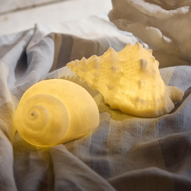 Sancia Battery Operated Light Up Coastal Sculpture, Conch Shell