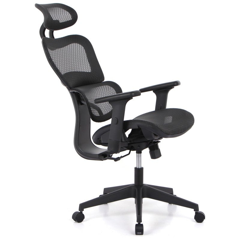 Elite Mesh Fabric Ergonomic Office Chair, Black