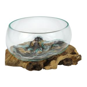 Thareon Glass Fish Bowl / Terrarium with Driftwood Stand, Type G