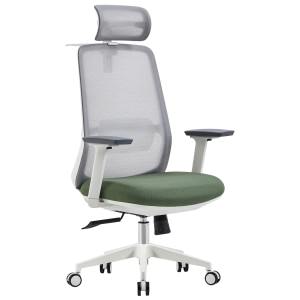 FormIQ Mesh Fabric Ergonomic Office Chair with Headrest, White / Green