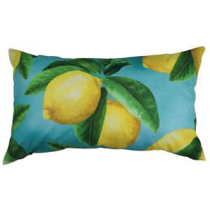 Sour Patch Outdoor Lumbar Cushion