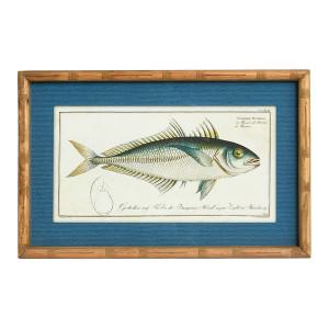 "Oceanic Study" Framed Paper Wall Art Print, Type A, 60cm