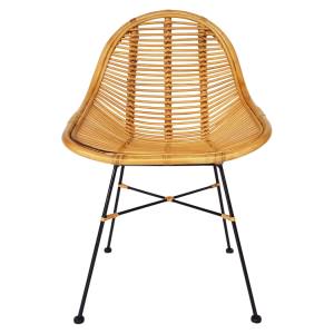 Elssie Rattan & Metal Dining Chair