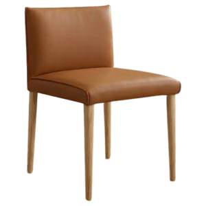 Jordyn Leather Dining Chair