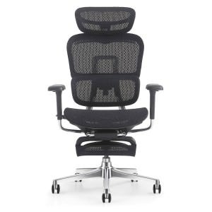 Ergopro Pro Mesh Fabric High Back Ergonomic Office Chair with Retractable Footrest, Black