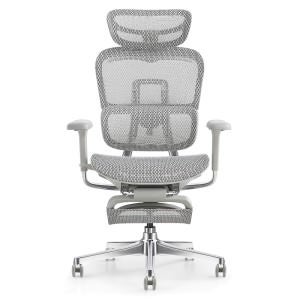 Ergopro Pro Mesh Fabric High Back Ergonomic Office Chair with Retractable Footrest, Grey
