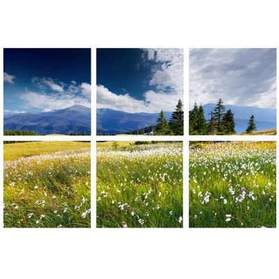 Scapeview 6 Piece Stretched Canvas Wall Art Set, Swiss Alps in Summer