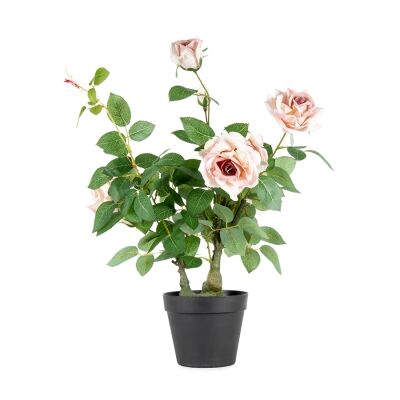 Potted Artificial Lagerfeld Rose, 65cm