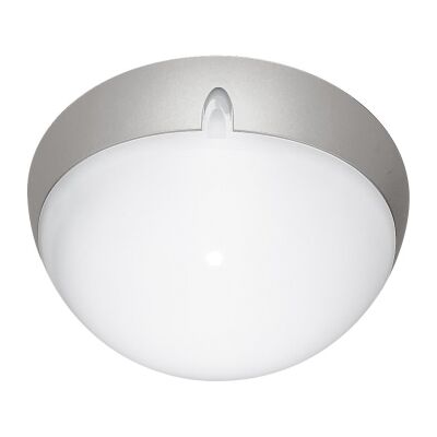 Polydome IP66 Italian Made Exterior Ceiling Light, Small, Silver