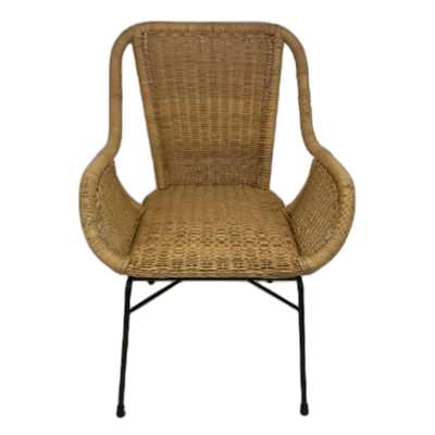 Palmview Rattan Carver Dining Chair