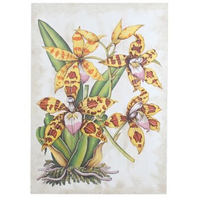 Spider Orchid Artwork, 122cm