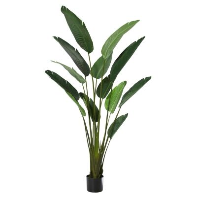 Potted Artificial Bird of Paradise Plant, Type A, 183cm