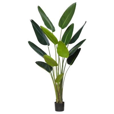 Potted Artificial Bird of Paradise Plant, Type B, 183cm