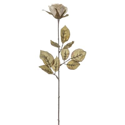 Artificial Dried Rose Stem, Set of 6, Ivory