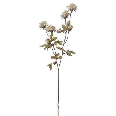Artificial Dried Rose Spray, Set of 6, Ivory