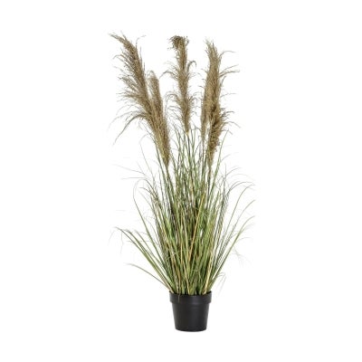 Kurri Potted Artificial Pampas Grass, 135cm