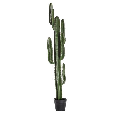 Kurri Potted Artificial Desert Cactus, 160cm