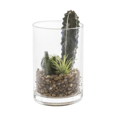 Nokou Artificial Cactus Garden In Glass