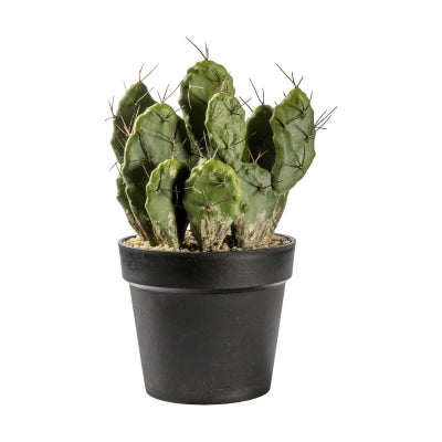 Kurri Potted Artificial Cactus Optunia, 40cm