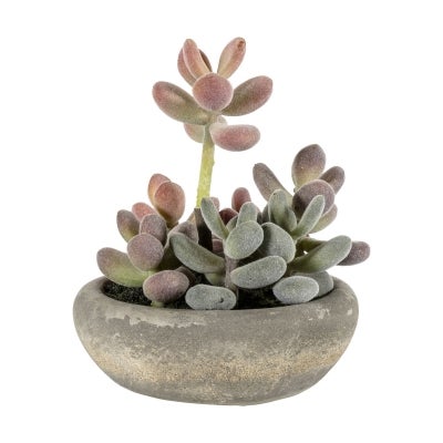 Alta Potted Artificial Graptoveria, Large