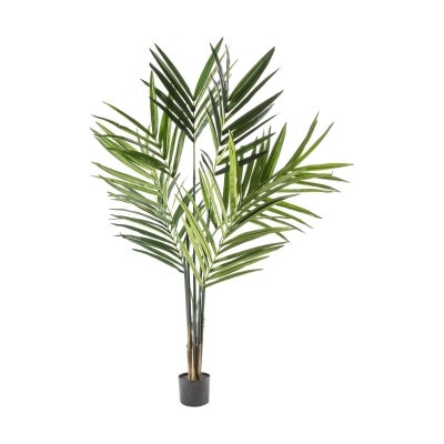 Osteria Potted Artificial Kentia Palm Tree, 180cm