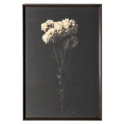 "Dark Bouquet Stem" Framed Wall Art Print, 95cm
