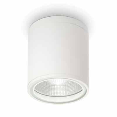 Gun IP44 Indoor / Outdoor Surface Mounted Downlight, White